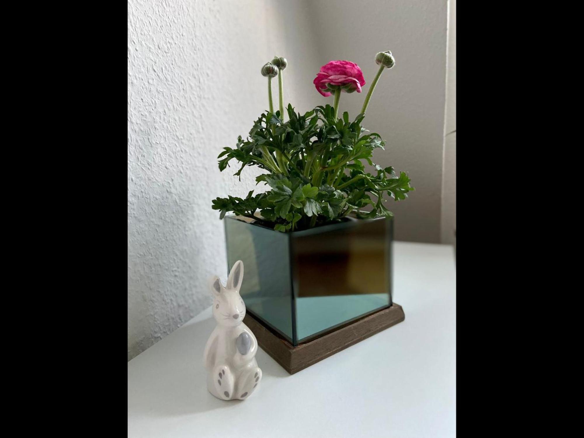 Neu Ferienwohnung วัลส์โฮเดอ ภายนอก รูปภาพ